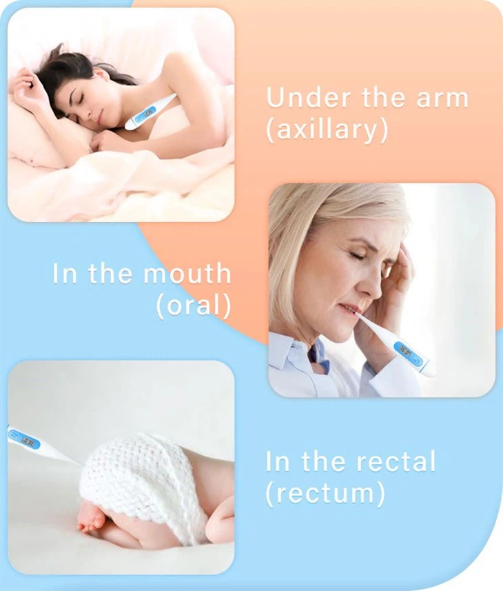 Digital Waterproof Thermometer