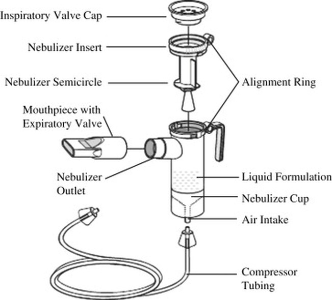 Air Compressor Nebulizer Market Size Opportunities Air Compressor Nebulizer Market Size Opportunities