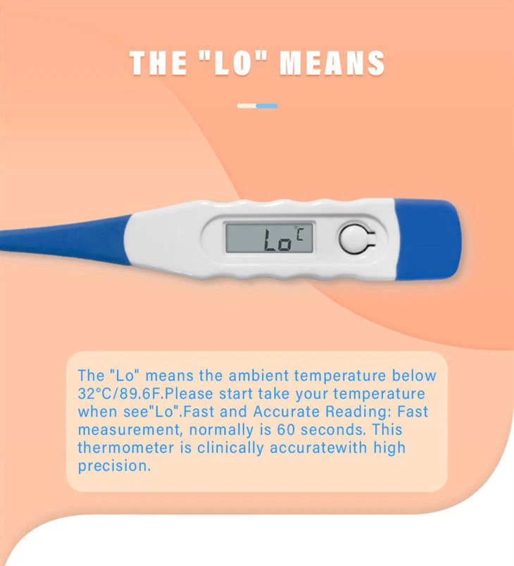 Flexible Thermometer